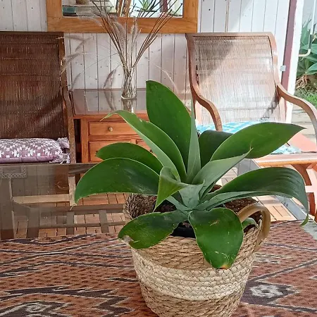 Casa Betania Ocean View * 라오로타바